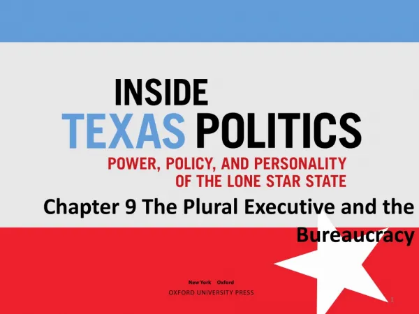 Chapter 9 The Plural Executive and the Bureaucracy