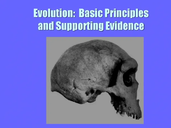 Evolution: Basic Principles and Supporting Evidence