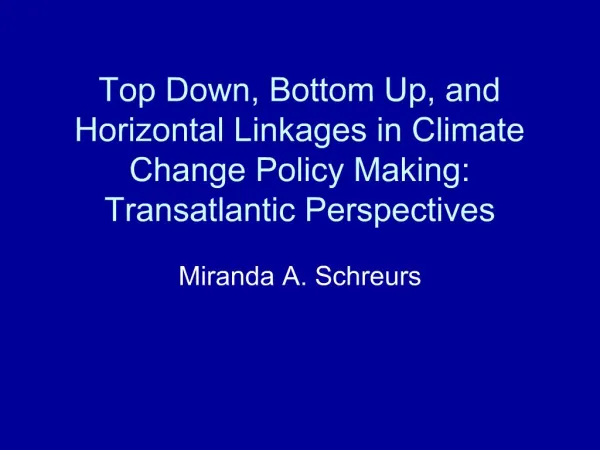 Top Down, Bottom Up, and Horizontal Linkages in Climate Change Policy Making: Transatlantic Perspectives