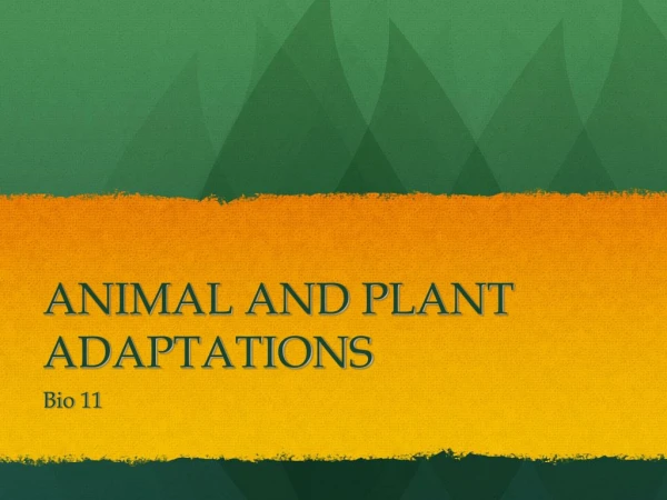 ANIMAL AND PLANT ADAPTATIONS