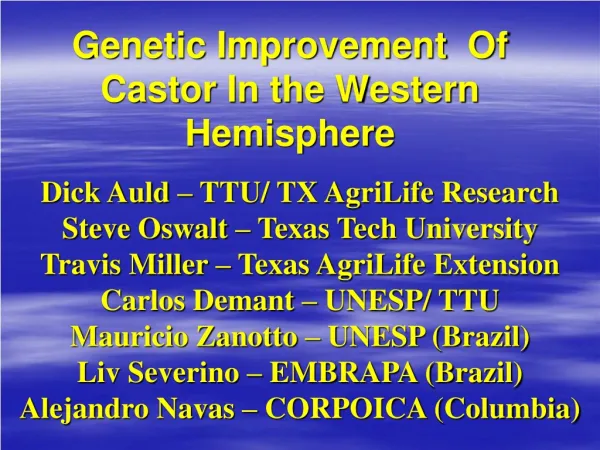 Genetic Improvement Of Castor In the Western Hemisphere