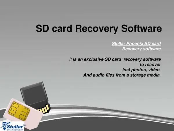 Learn how to recover deleted pictures from SD card