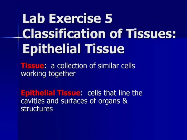 Lab Exercise 5 Classification of Tissues: Epithelial Tissue