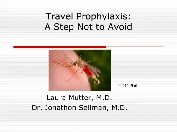 Travel Prophylaxis: A Step Not to Avoid