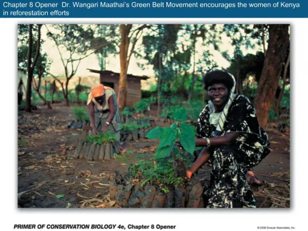 Chapter 8 Opener Dr. Wangari Maathai s Green Belt Movement encourages the women of Kenya in reforestation efforts