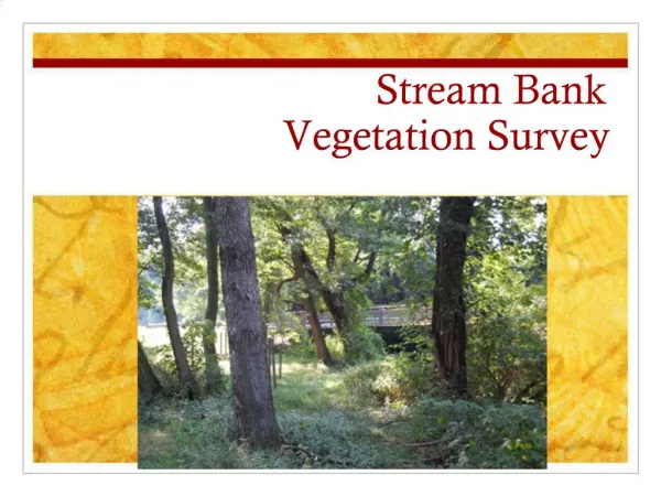 Stream Bank Vegetation Survey