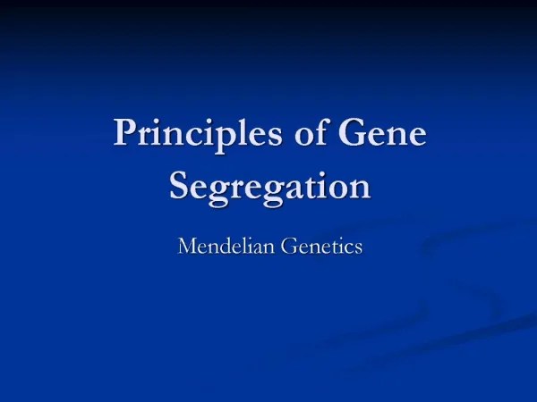 Principles of Gene Segregation