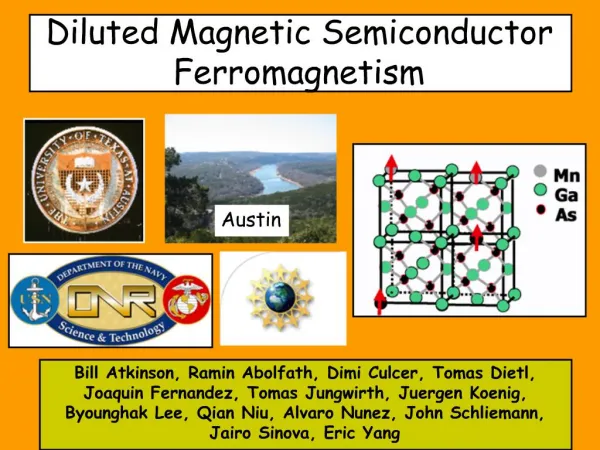 Diluted Magnetic Semiconductor Ferromagnetism