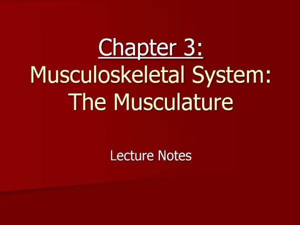 Chapter 3: Musculoskeletal System: The Musculature