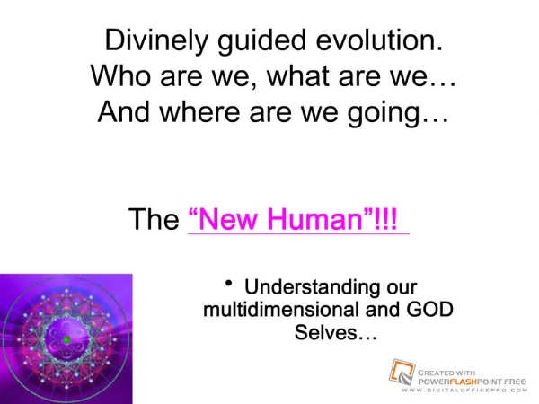Divinely guided evolution.