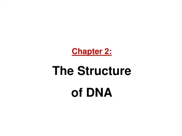 Chapter 2: The Structure of DNA
