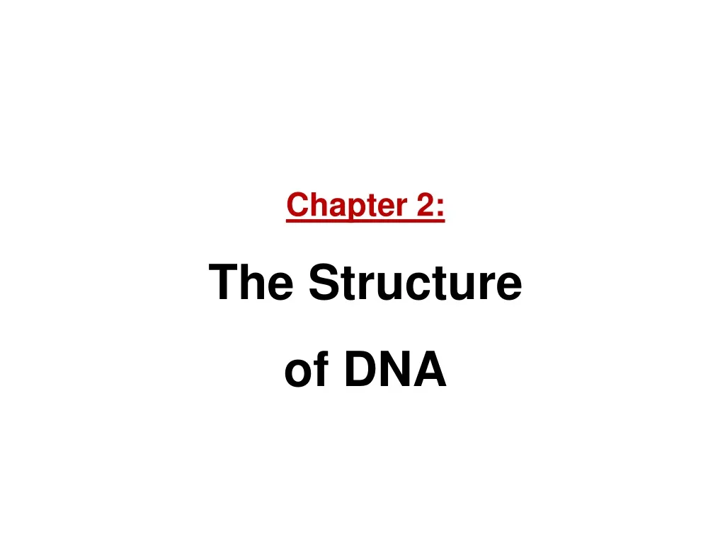 chapter 2 the structure of dna