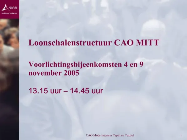 Loonschalenstructuur CAO MITT