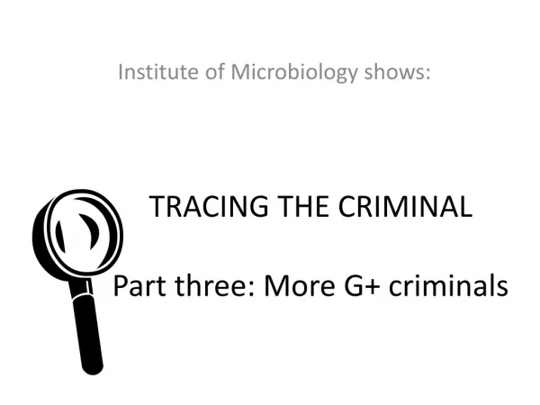 TRACING THE CRIMINAL Part three: More G+ criminals