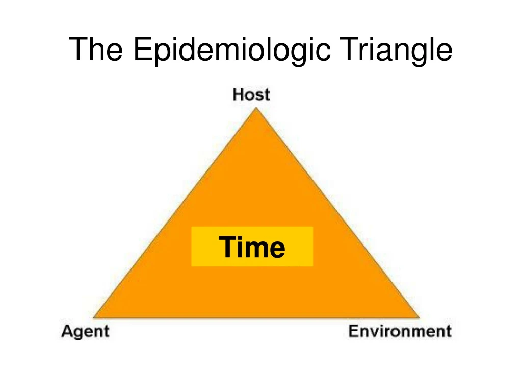 PPT - The Epidemiologic Triangle PowerPoint Presentation, free download -  ID:55113