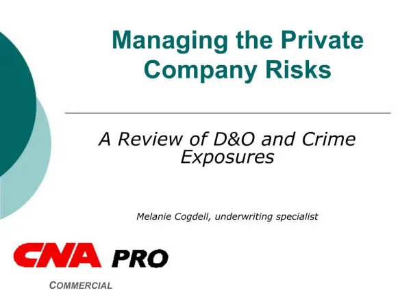 Managing the Private Company Risks