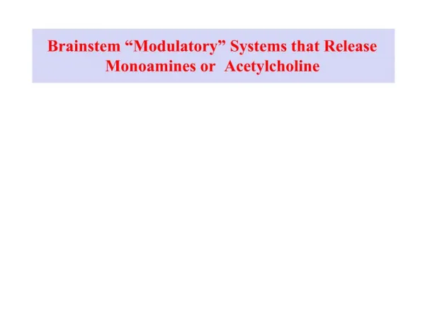 Brainstem Modulatory Systems that Release Monoamines or Acetylcholine