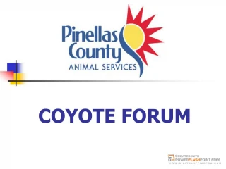 COYOTE FORUM - slide 1