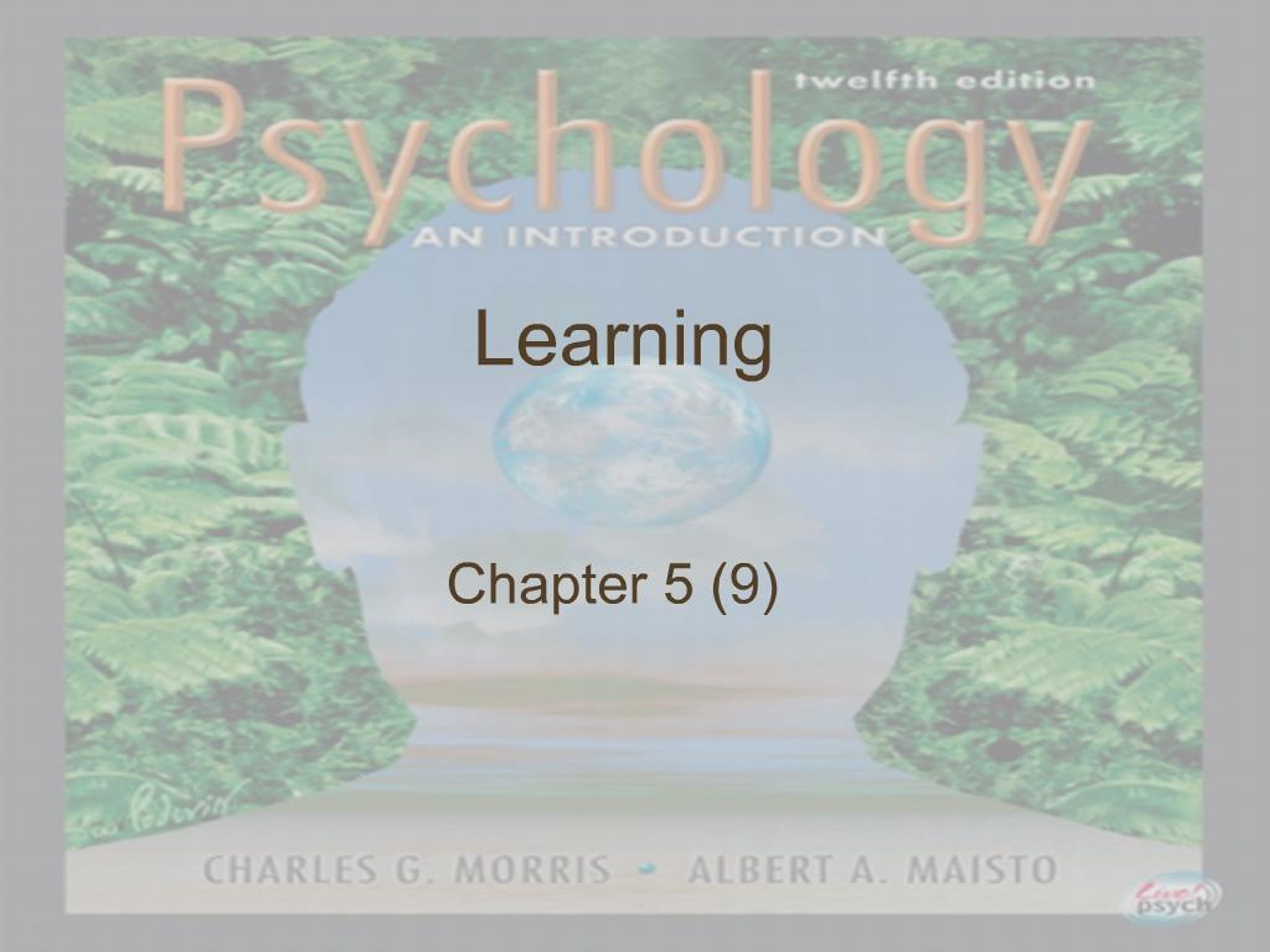 PPT - Learning PowerPoint Presentation, free download - ID:551587