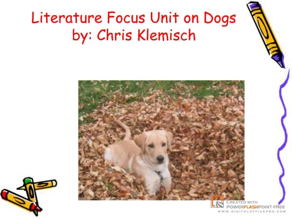 Literature Focus Unit on Dogs