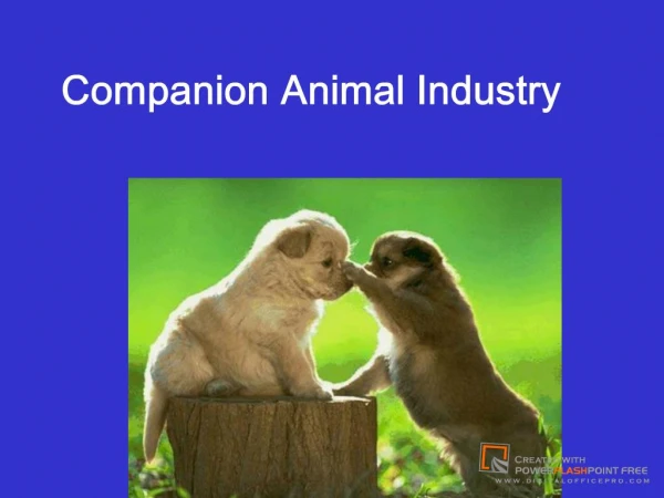 Companion Animal Industry