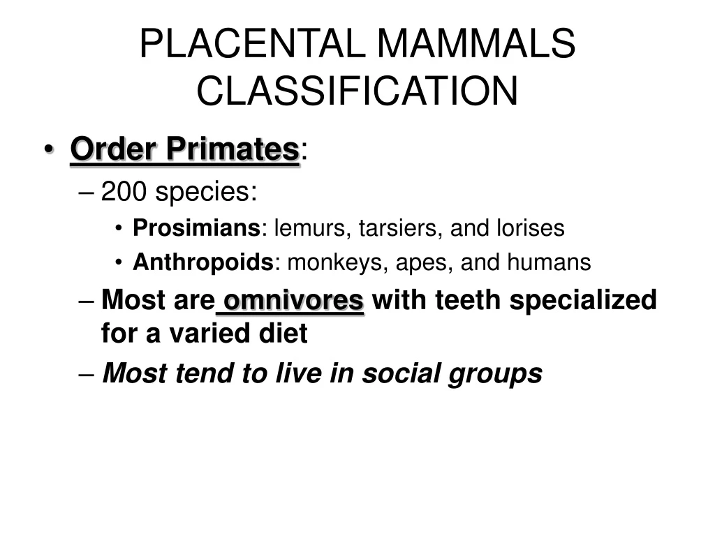 placental mammals classification