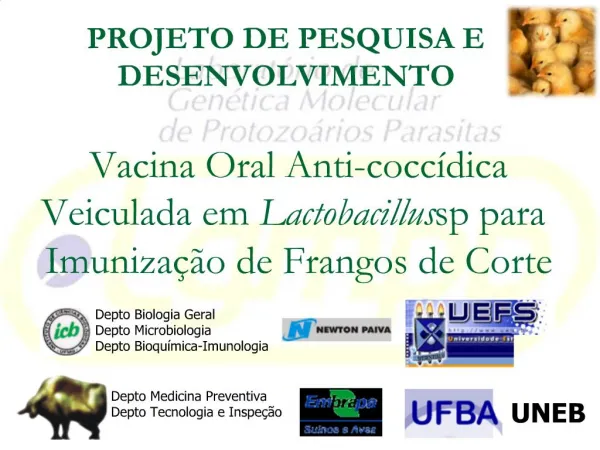 Vacina Oral Anti-cocc dica Veiculada em Lactobacillus sp para Imuniza o de Frangos de Corte