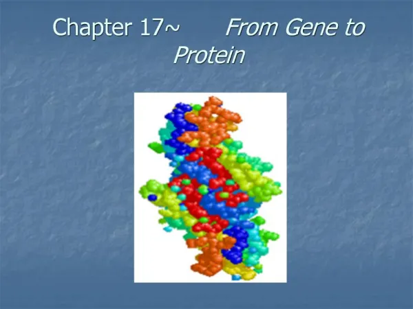 Chapter 17 From Gene to Protein