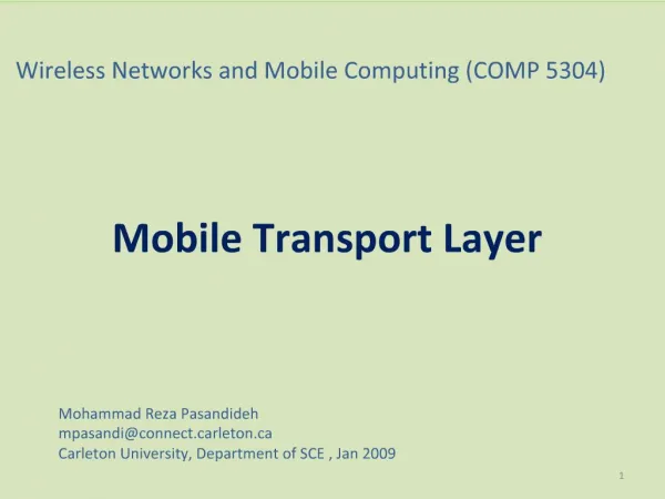 Wireless Networks and Mobile Computing COMP 5304