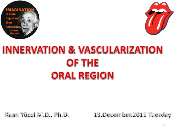 I NNERVATION &amp; VASCULARIZATION OF THE ORAL REGION
