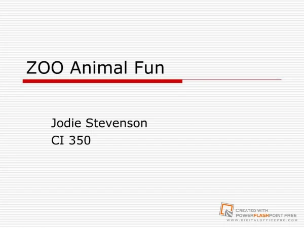 ZOO Animal Fun