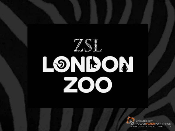 Your day at ZSL London Zoo