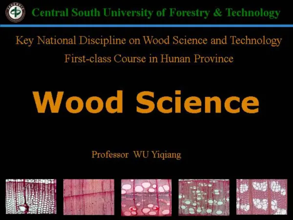 Chapter 4 The Minute Structure of Coniferous Woods (Softwoods)(? ...