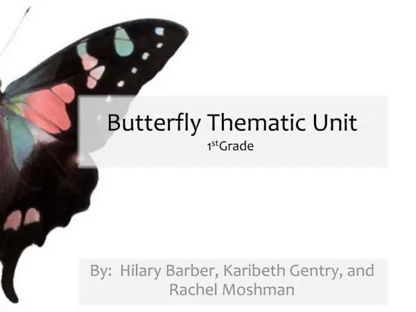Butterfly Thematic Unit 1st Grade