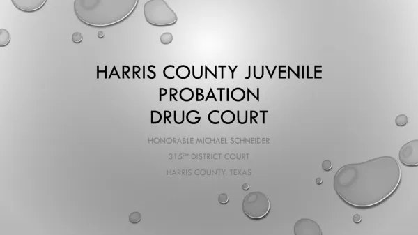 Harris County Juvenile Probation Drug Court