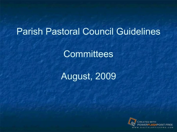 Parish Pastoral Council Guidelines