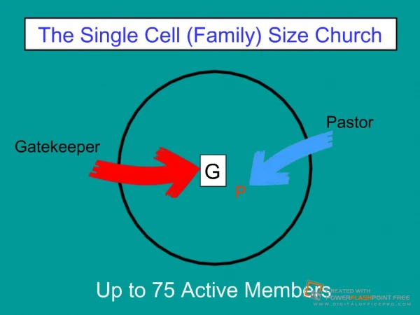 The Single Cell Family Size Church