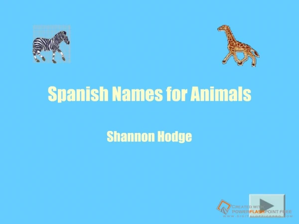 Spanish Names for Animals