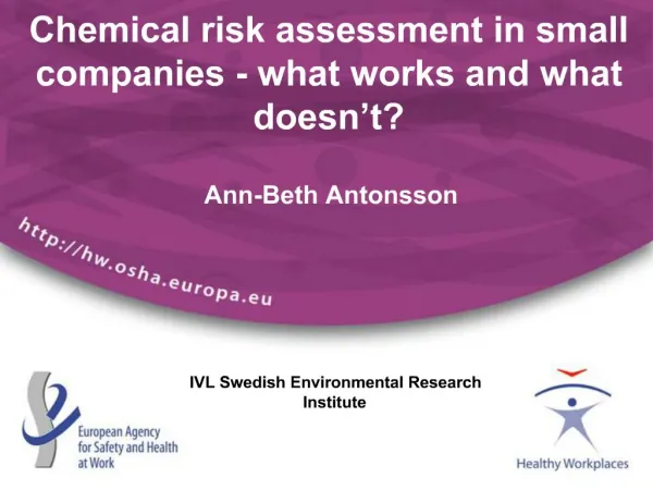 Chemical risk assessment in small companies - what works and what doesn t