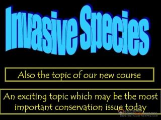 So - slide 1