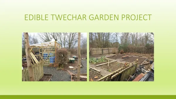 Edible Twechar garden project