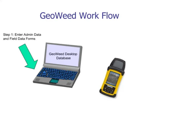 GeoWeed Work Flow