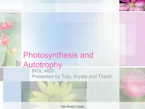 Photosynthesis and Autotrophy