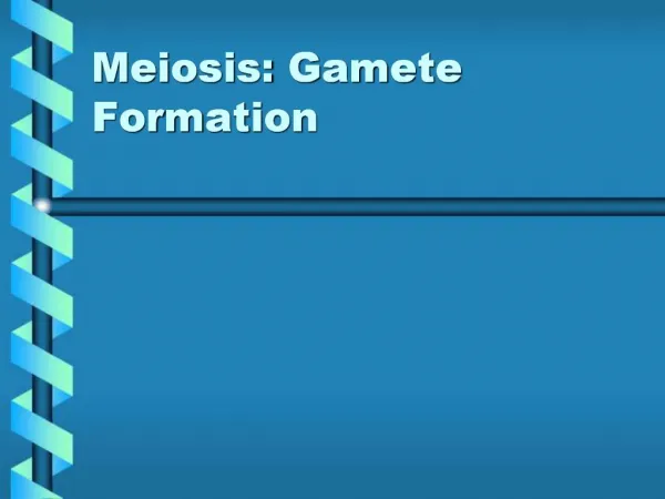 Meiosis: Gamete Formation
