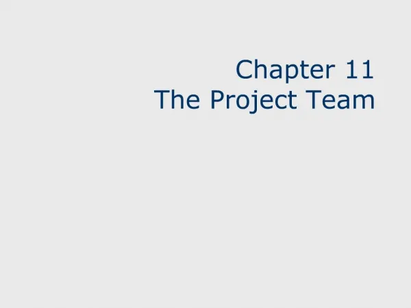 Chapter 11 The Project Team