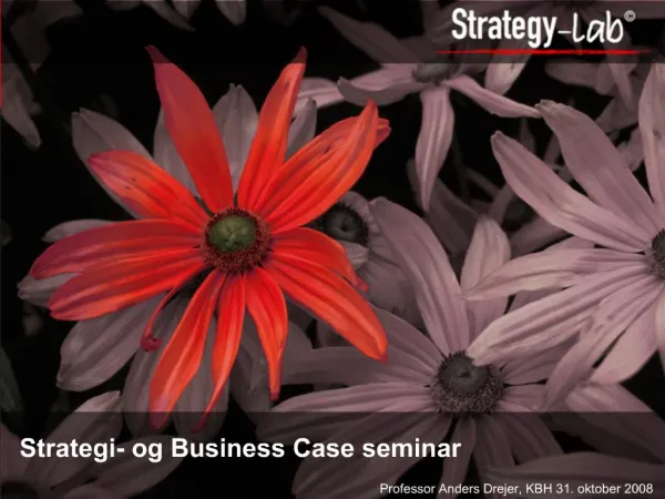 Strategi- og Business Case seminar