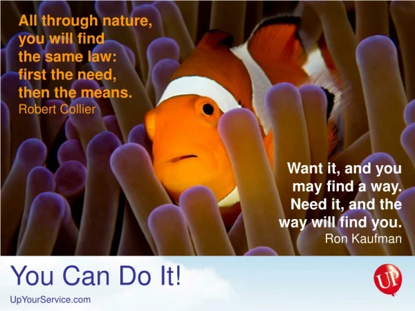 Want it, and you may find a way. Need it, and the way will find you. Ron Kaufman