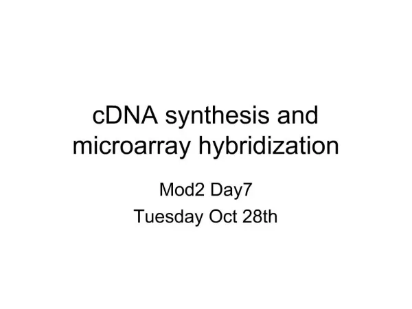CDNA synthesis and microarray hybridization
