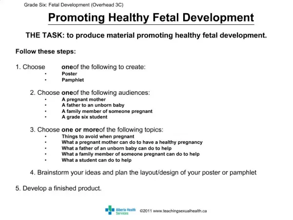 Promoting Healthy Fetal Development