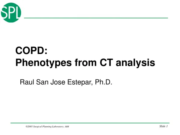 COPD: Phenotypes from CT analysis